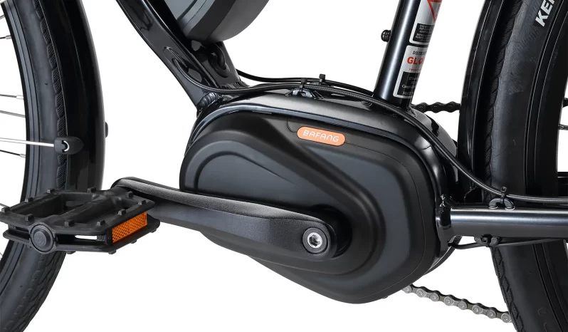 New 2023 XDS E-Cruz Ladies full