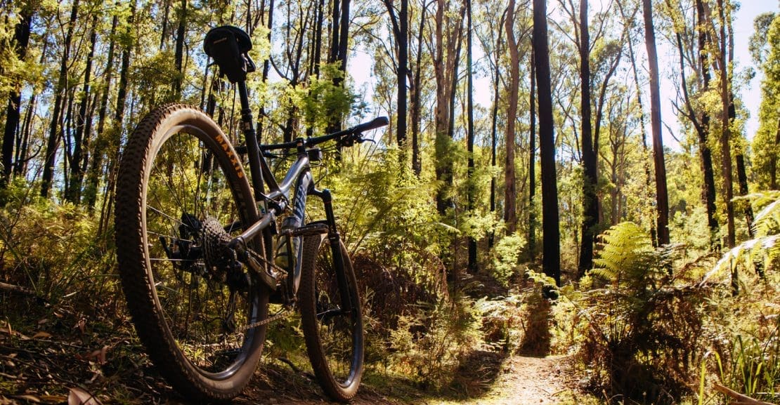 Mountain Bicycle