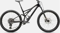 Stumpjumper Expert T-Type Bicycle