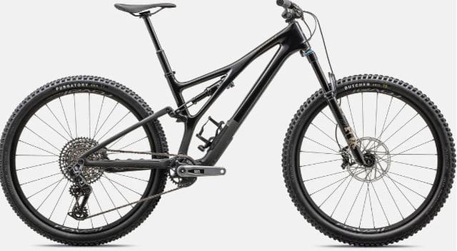 Stumpjumper Expert T-Type Bicycle